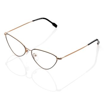 Lunettes DP69 DPV108-04 1