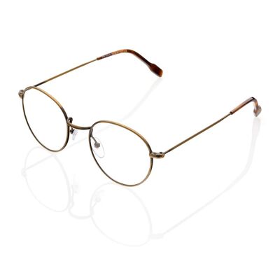 DP69 DPV109-05 Eyeglasses