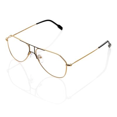 DP69 DPV110-02 Eyeglasses