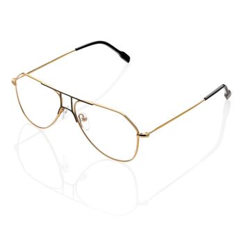 Lunettes DP69 DPV110-02 1