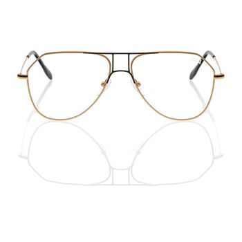 Lunettes DP69 DPV110-02 2