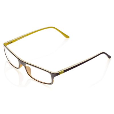 DP69 PPG001-15 Eyeglasses