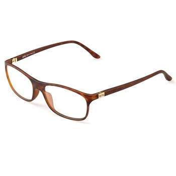 Lunettes DP69 PPG002-12 1