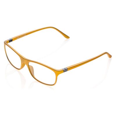 DP69 PPG002-41 Brille