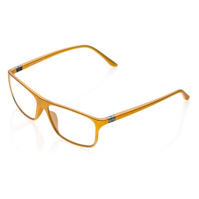 Eyeglasses DP69 PPG003-41