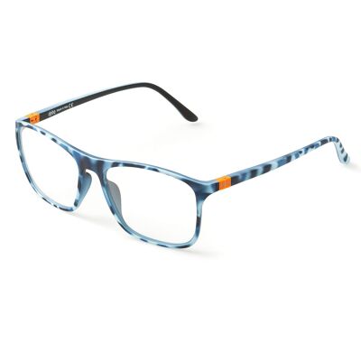 DP69 PPG004-02 Brille