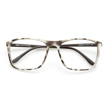 DP69 PPG004-04 Lunettes 2