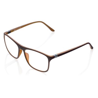 Eyeglasses DP69 PPG004-32