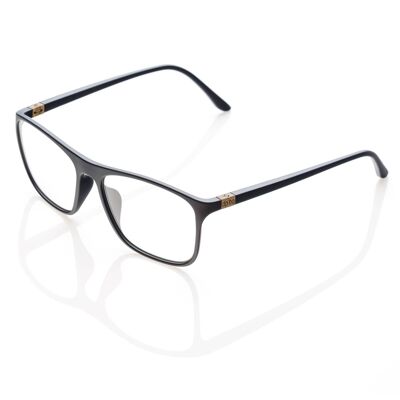 DP69 PPG004-52S Brille