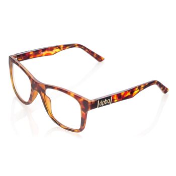 DP69 PPG009-02 Lunettes 1