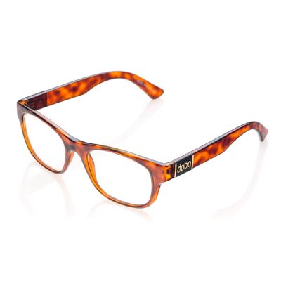 DP69 PPG010-02 Brille