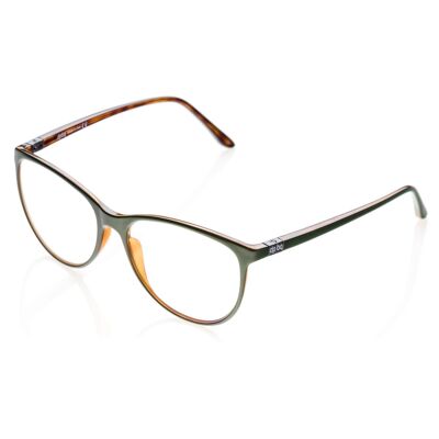 DP69 PPG012-06 Brille