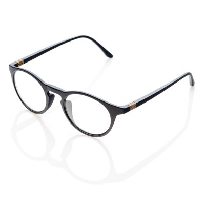 DP69 PPG014-21 Brille