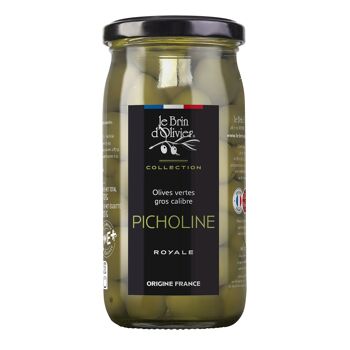 Olives vertes variété Picholine origine France 1