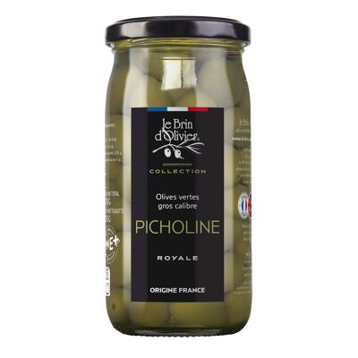 Green olives variety Picholine origin France