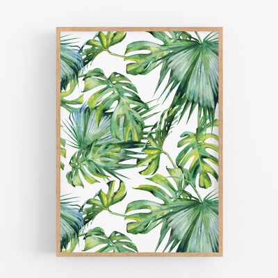 Poster Monstera Leaves A3