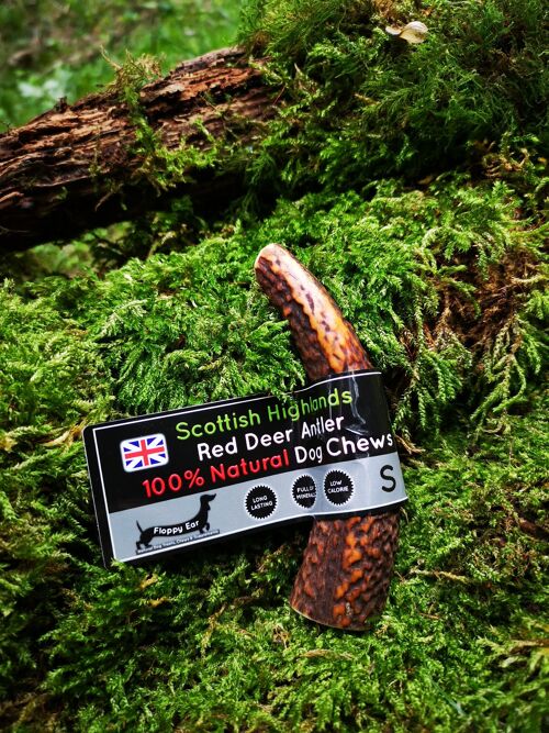 Deer Antler Chew - Small 60-80g