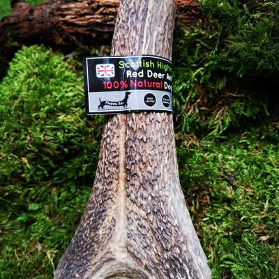 Deer Antler Chew - Super XL 350-450g