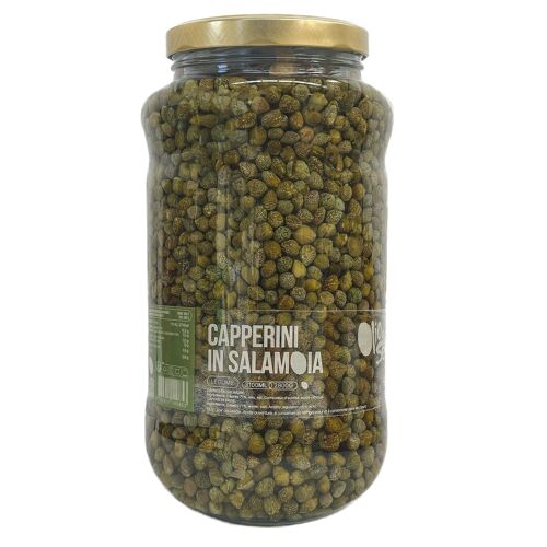 Légumes - Capperini in salamoia - Petits câpres calibre 7/8 en saumure (2800g)