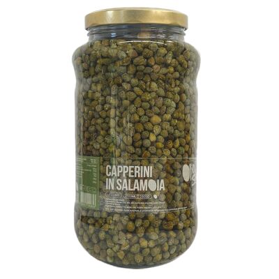 Verduras - Capperini en salamoia - Alcaparras pequeñas tamaño 7/8 en salmuera (2800g)