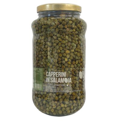 Vegetables - Capperini in salamoia - Small capers size 7/8 in brine (2800g)