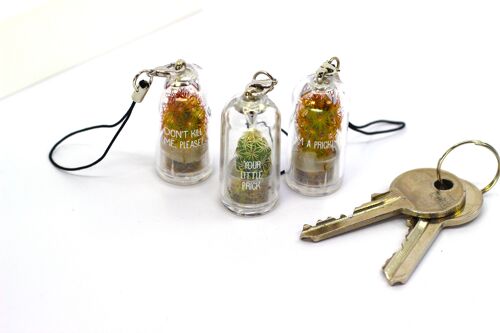 Mini Terrarium Cactus Keychain