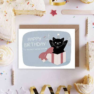 Tarjeta de cumpleaños - gato y caja de regalo