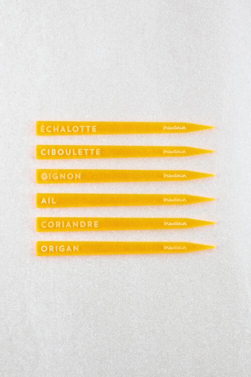 Marque-plåntes Ciboulette - Acrylique orange