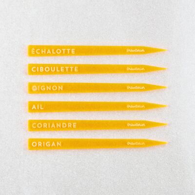 Schnittlauch-Pflanzenmarker – orangefarbenes Acryl