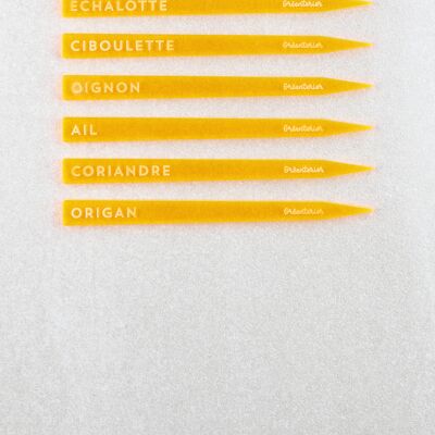 Marque-plåntes Ciboulette - Acrylique orange