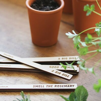Big dill plant markers - Wood