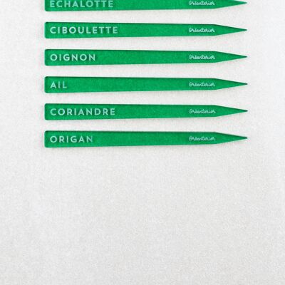 Marque-plåntes Ciboulette - Acrylique vert