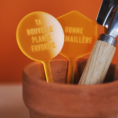 Rack Plant Markers - Orange Acrylic