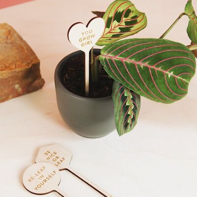 Plant markers You grow girl - Wood