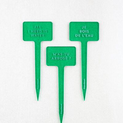 Plant markers Have you watered me? - Green acrylic