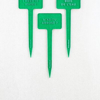 Plant markers Have you watered me? - Green acrylic