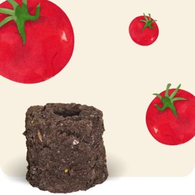 Bola de Cultivo de Tomate Cherry Ecológico