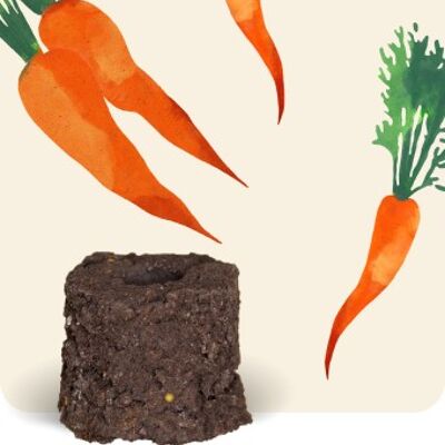 Mini pallina biologica per la coltivazione di carote