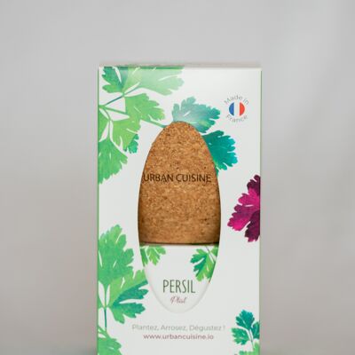 Caja Variedad Perejil