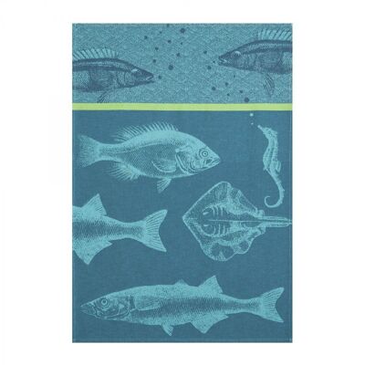Tea towel - BANC OF FISH 50 x 75 cm