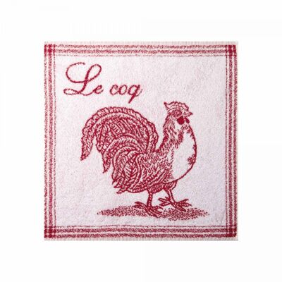 Spugna quadrata - COQ 50 x 50 cm