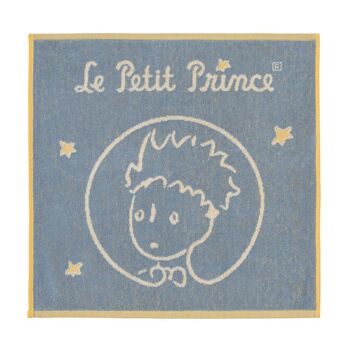 Carré éponge - LE PETIT PRINCE 50 x 50 cm 3