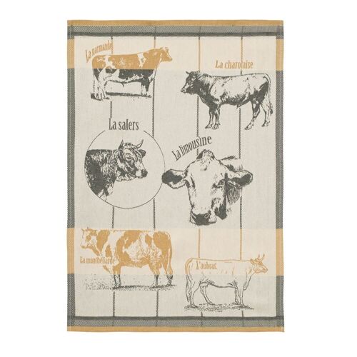 Torchon - RACES BOVINES 50 x 75 cm