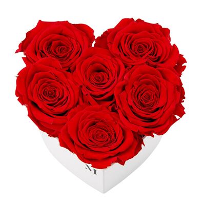 Mia Milano Infinity Roses Heart I Rose caja con 6 rosas preservadas
