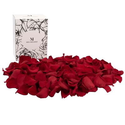 Rose petals preserved from real roses - red