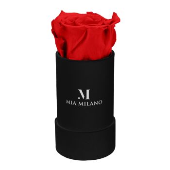 Boîte à roses noire avec une rose à l'infini - rouge