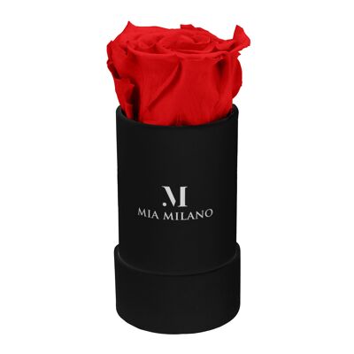 Rose box black with an infinity rose - red