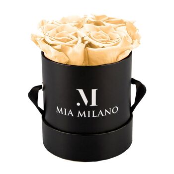Boîte à roses noire avec quatre roses à l'infini - champagne