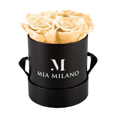 Boîte à roses noire avec quatre roses à l'infini - champagne