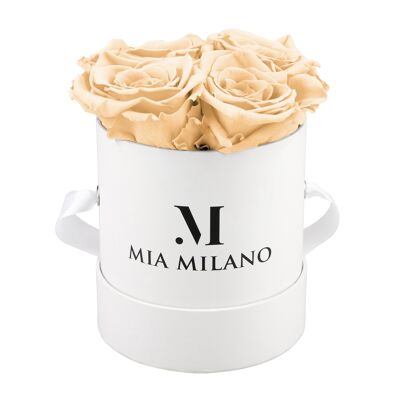 Rose box with four infinity roses - champagne